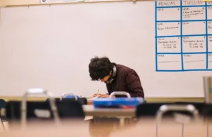 AP World History Exam Guide