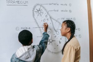 Young student teaching another student about cell organelles