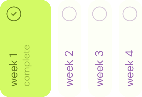 study plan