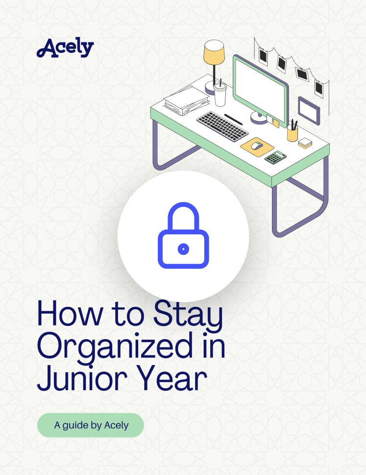 Thumbnail for Junior year PDF